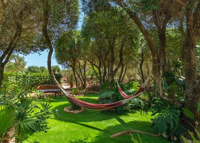 Holiday Home Moli De Son Vidal By Interhome